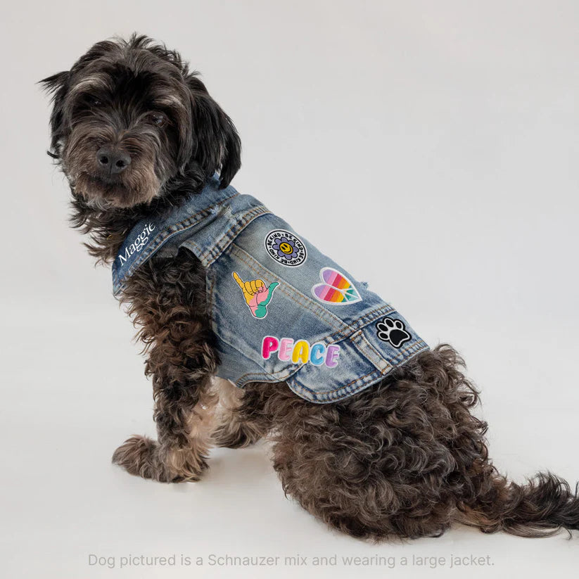 Pet Vest