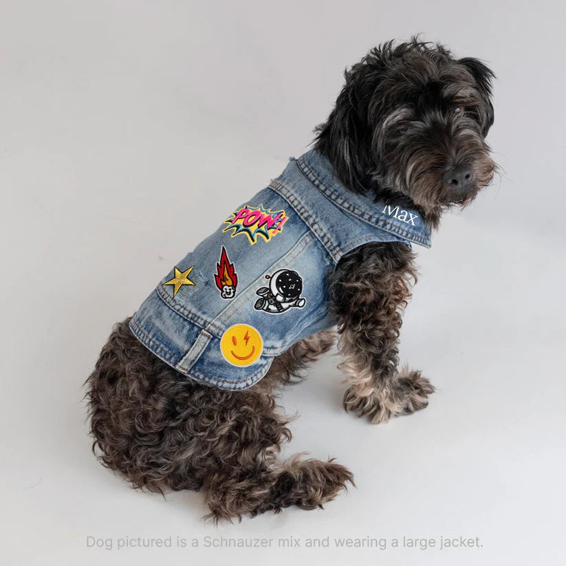 Pet Vest
