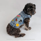 Pet Vest