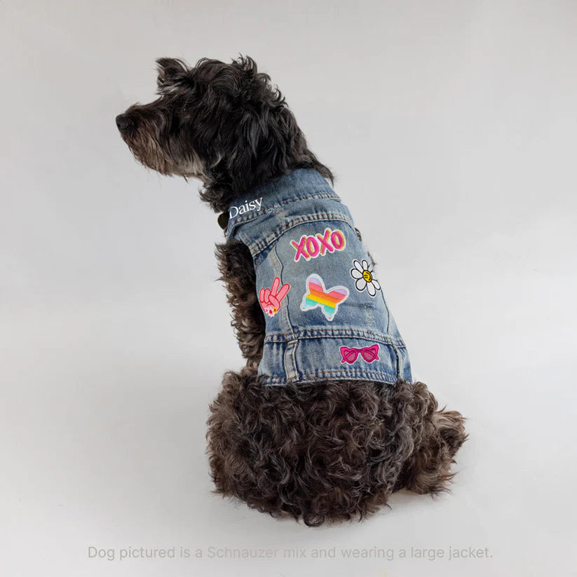 Pet Vest