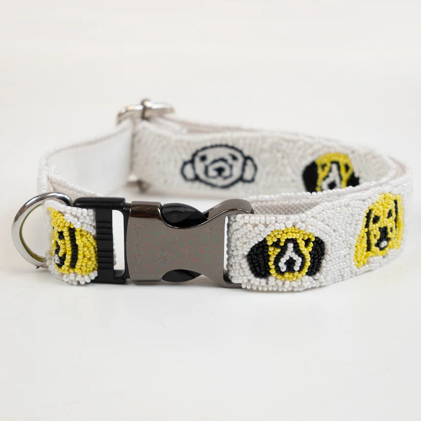 Stylish & Modern Pet Collar