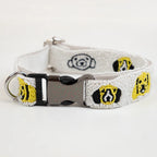 Stylish & Modern Pet Collar