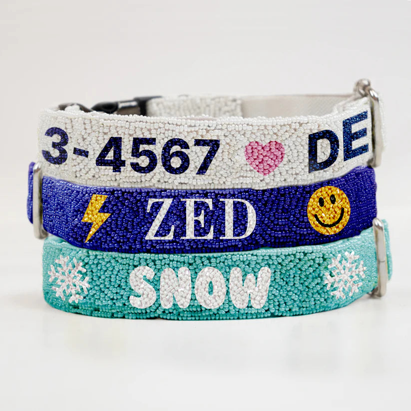 Stylish & Modern Pet Collar