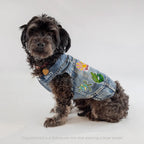 Pet Vest