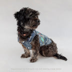 Pet Vest