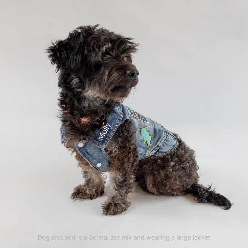Pet Vest